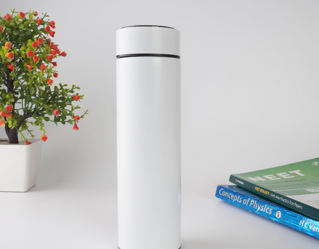 Temperature Display Bottle